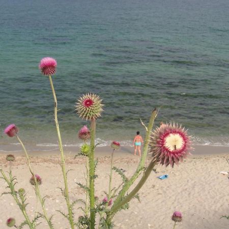 Lazur Hotel Ravda Dış mekan fotoğraf