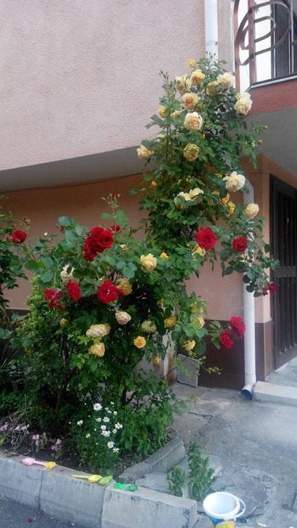 Lazur Hotel Ravda Dış mekan fotoğraf